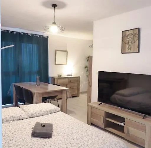 Vulcain 2, 18eme, Le Toit De Vulcain, Superbe Vue * Nantes